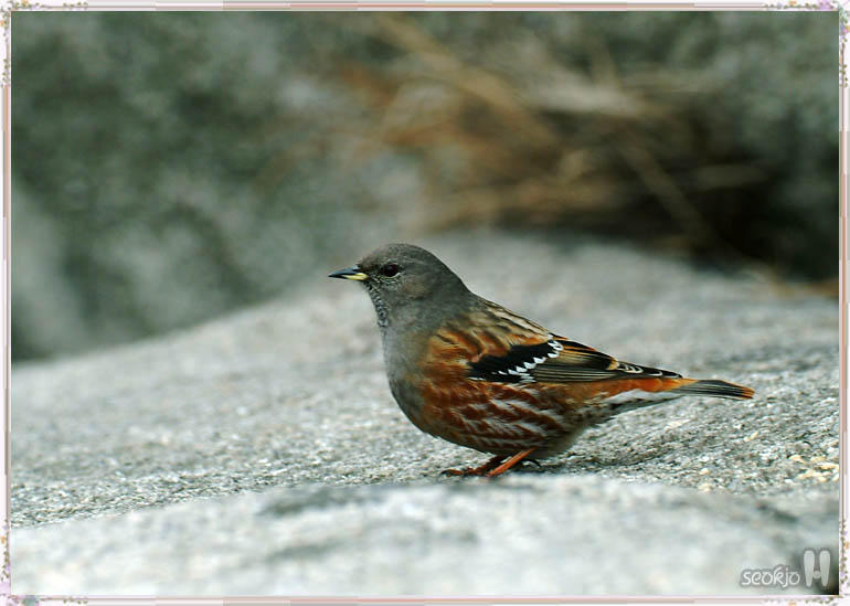 DSCF5648.jpg