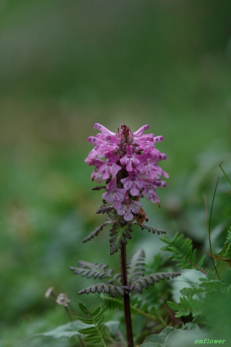 DSC_1804.jpg