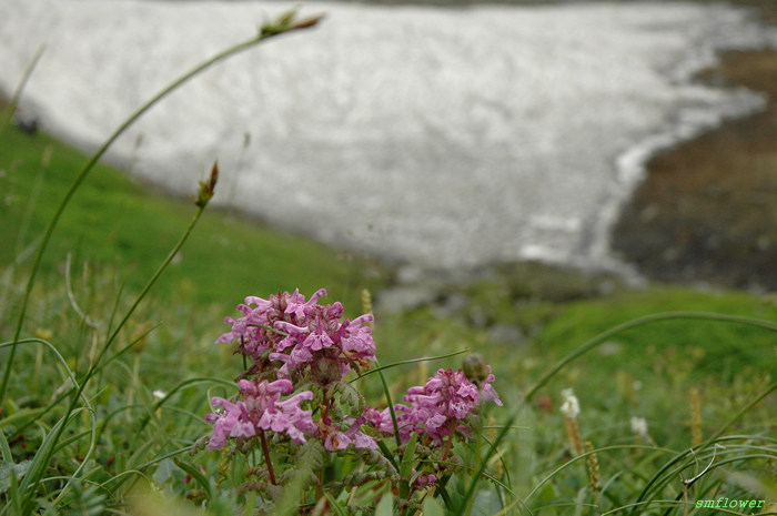 DSC_3042.jpg