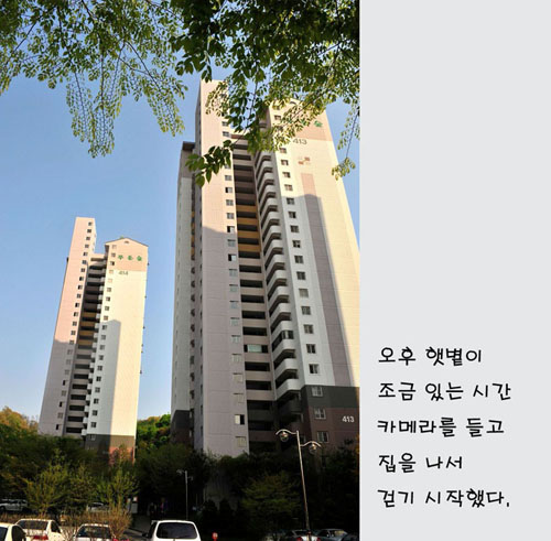 01.jpg