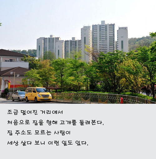 03.jpg