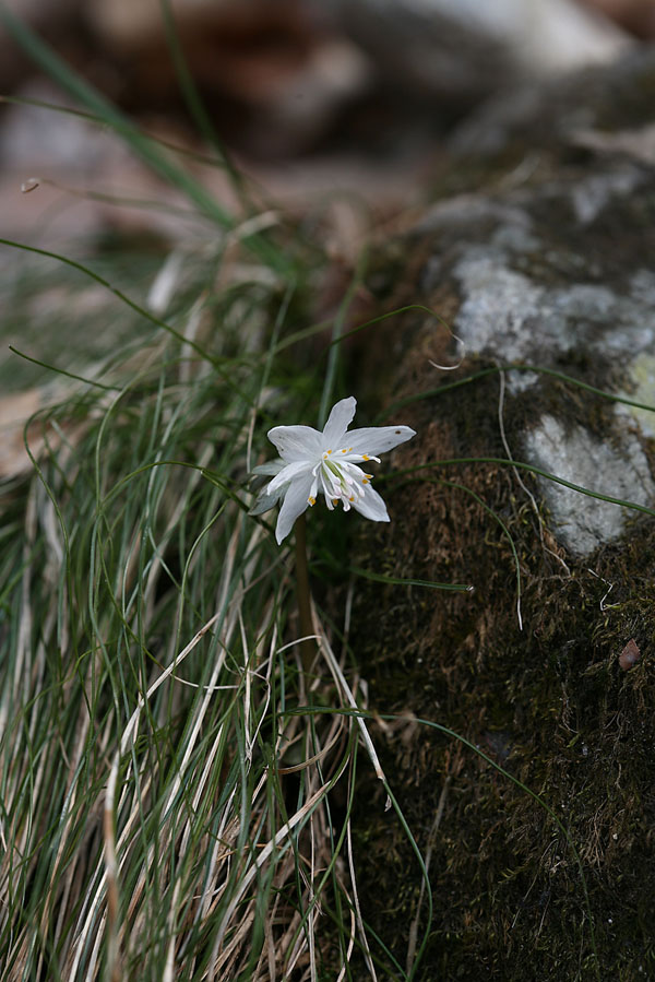 060309_077.jpg