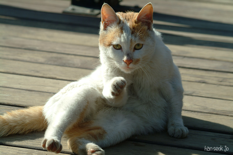 DSCF3607_1.jpg