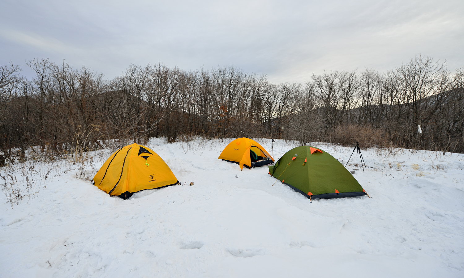 한함백산JGD_4608_20150118_082352.jpg
