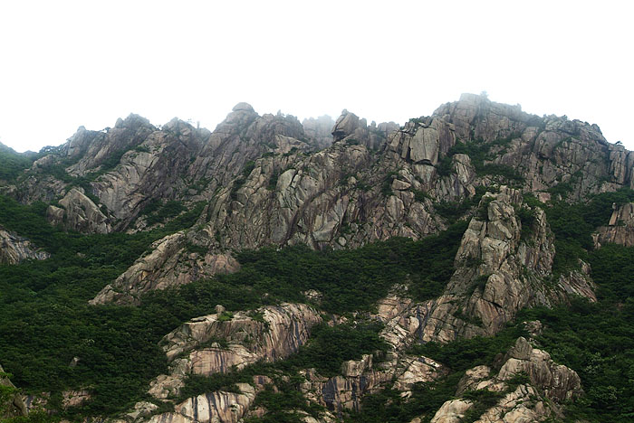 _DSF0052.jpg