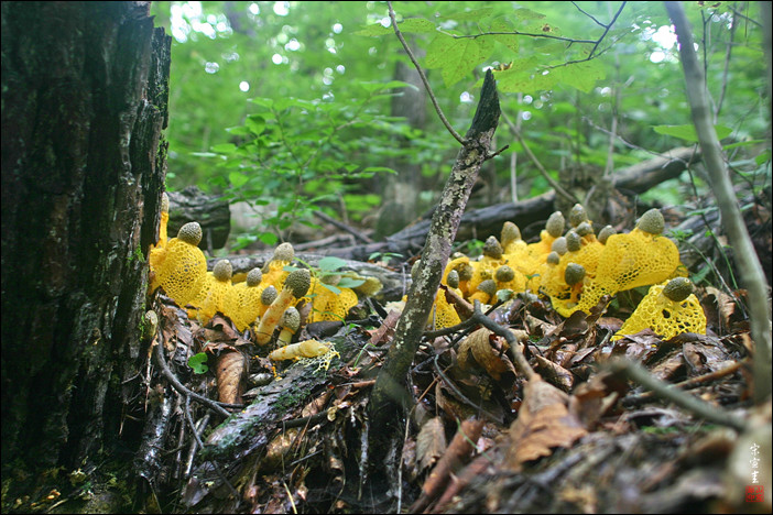 sIMG_7818-1-003.jpg