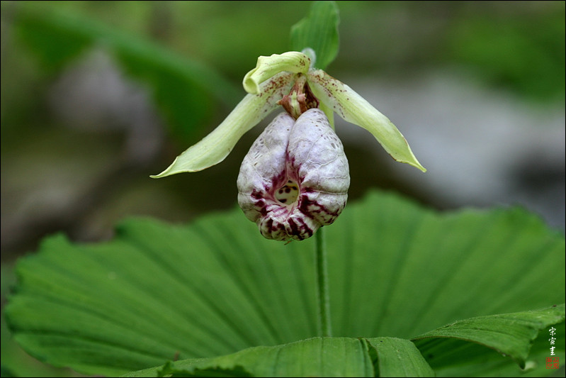sIMG_5161-1-009.jpg