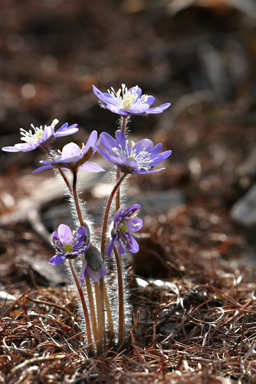 sds_3034.jpg