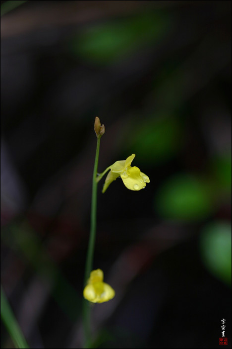 sIMG_9355-1-003.jpg