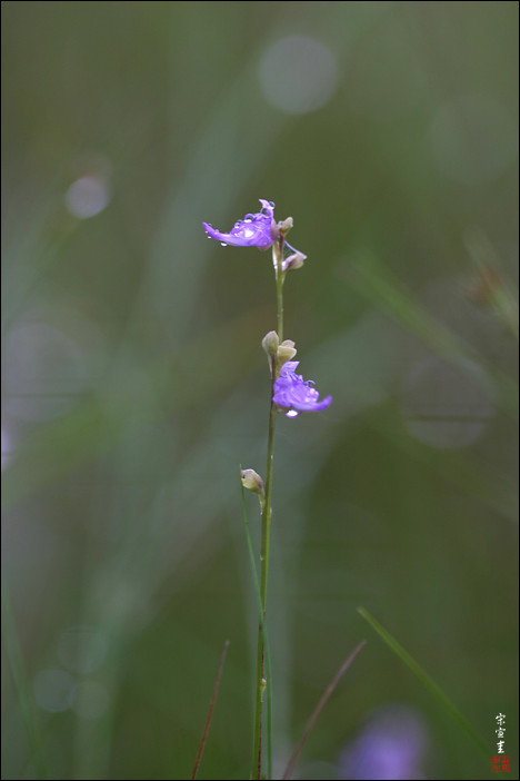 sIMG_9386-1-018.jpg
