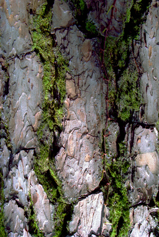 img035.jpg