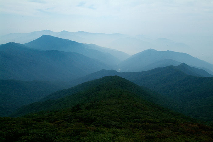 _DSF3786.jpg