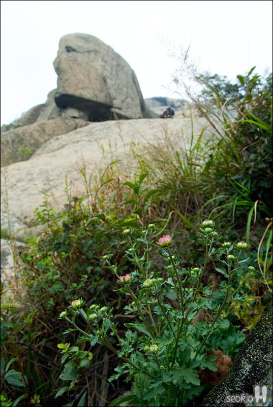 DSCF5535.jpg