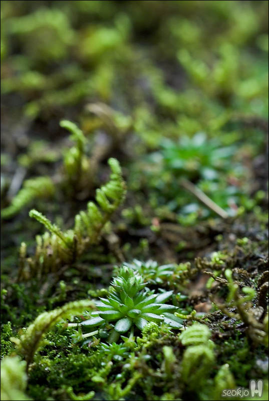 DSCF5519.jpg