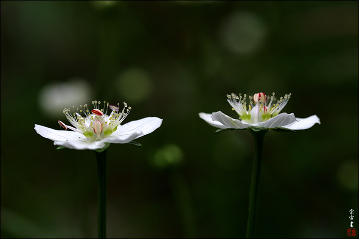 sIMG_0144-1-007.jpg