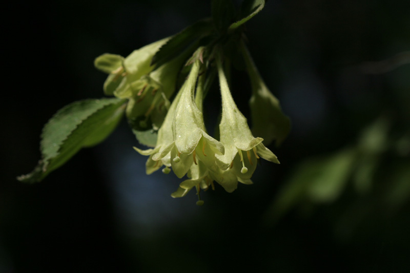 050503._cgm._006.jpg