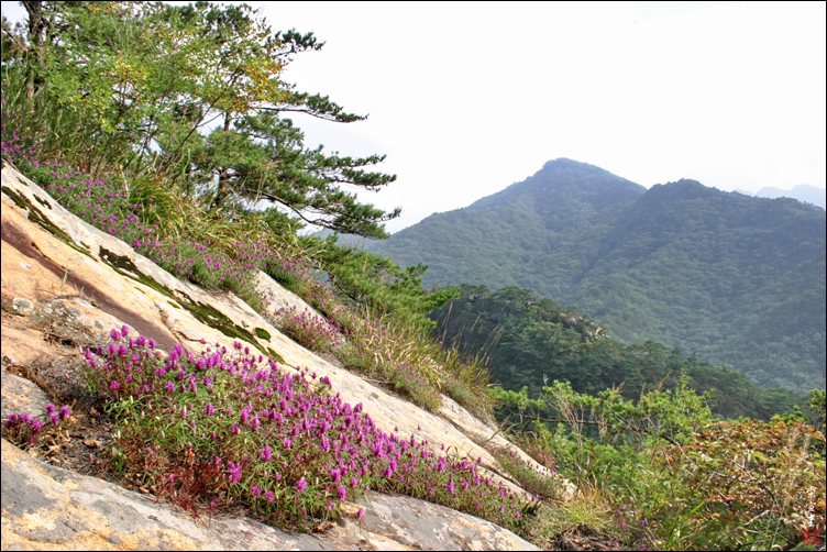 sIMG_0348-1-002.jpg