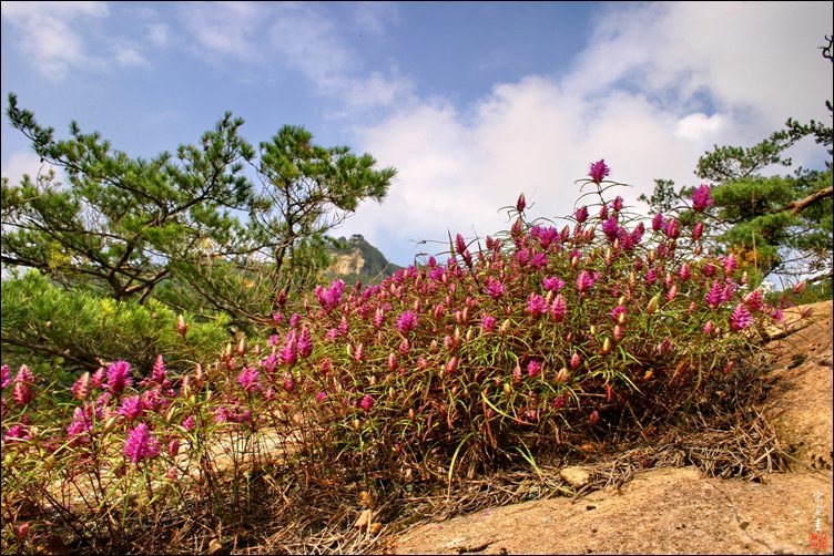 sIMG_0356-1-005.jpg