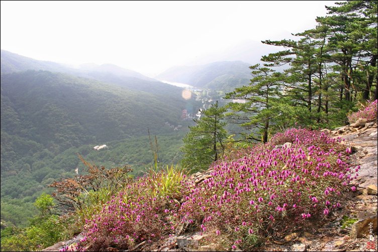 sIMG_0371-1-011.jpg