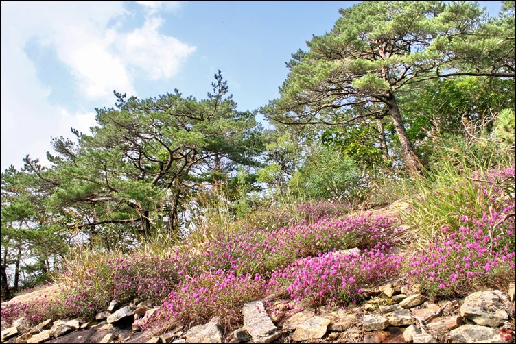 sIMG_0373-1-012.jpg