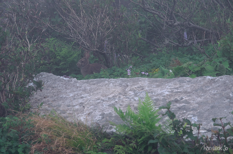 DSC_3453.jpg