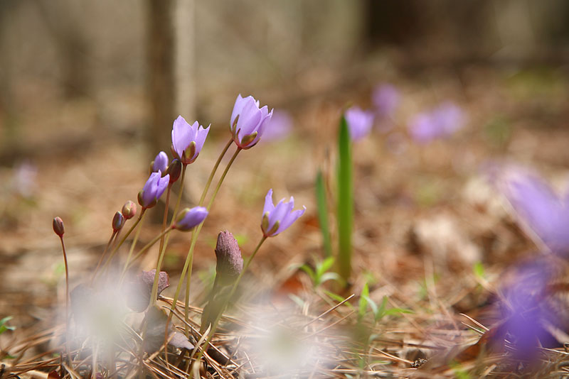 060408_152.jpg