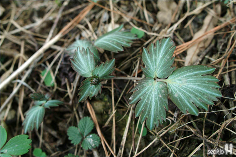 DSCF7045.jpg