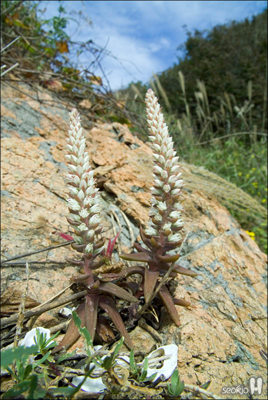 DSCF5975.jpg
