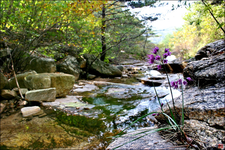 sIMG_1468-1-004.jpg