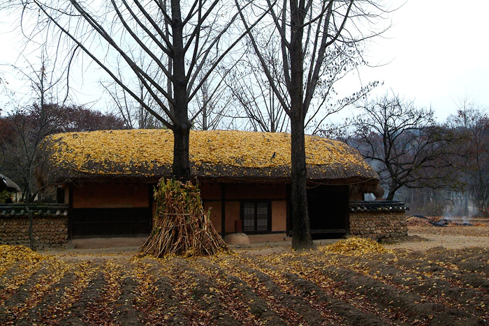 20071117(7).jpg