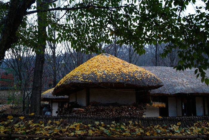 20071117(9).jpg