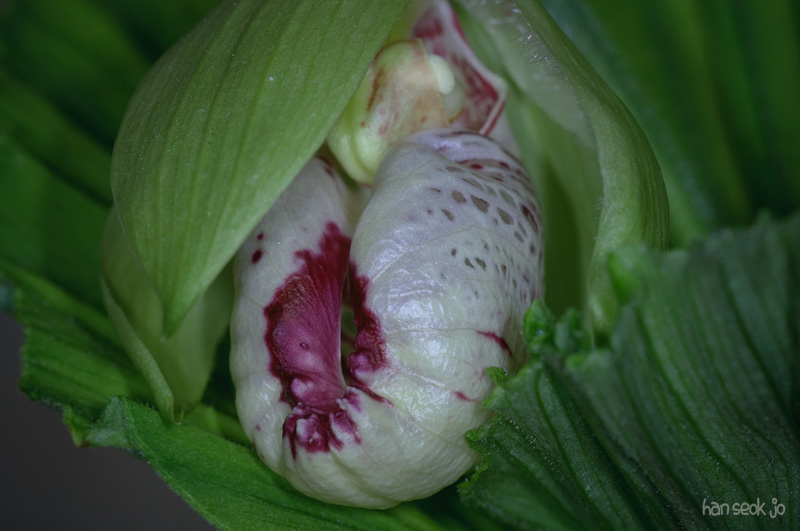DSC_0927.jpg