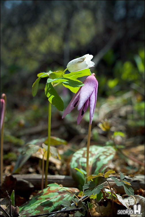 DSCF7568.jpg