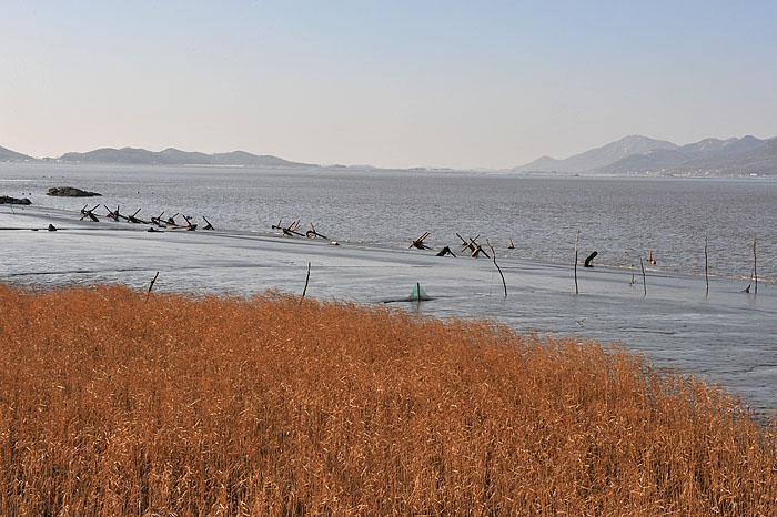 DSC_4722.jpg