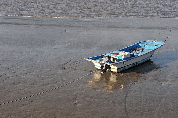 DSC_4725.jpg
