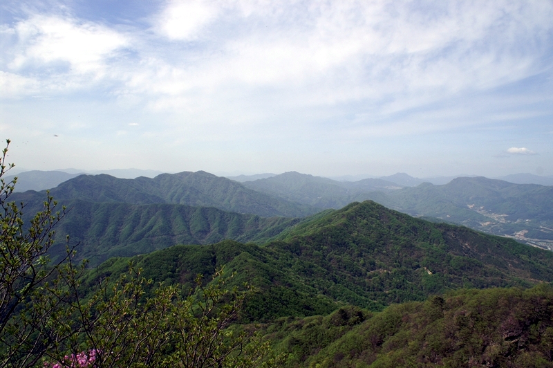PICT3302.jpg