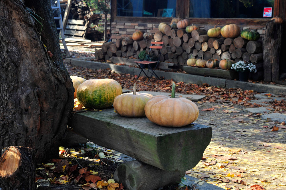 20091101 (9).jpg
