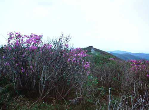 HSJ_9066.jpg
