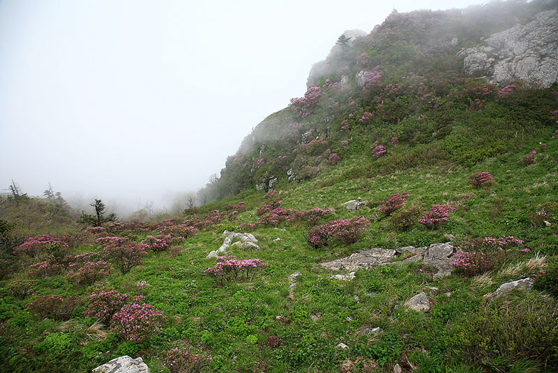 060524_004.jpg