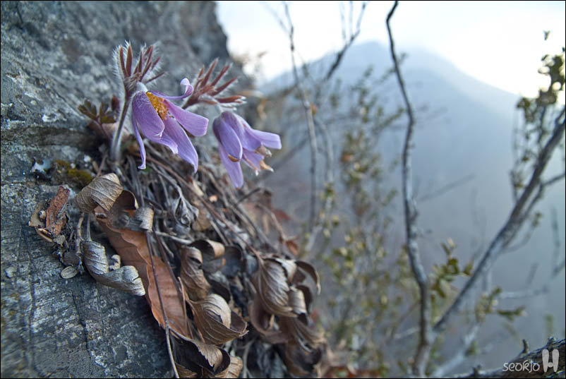 DSCF7280.jpg