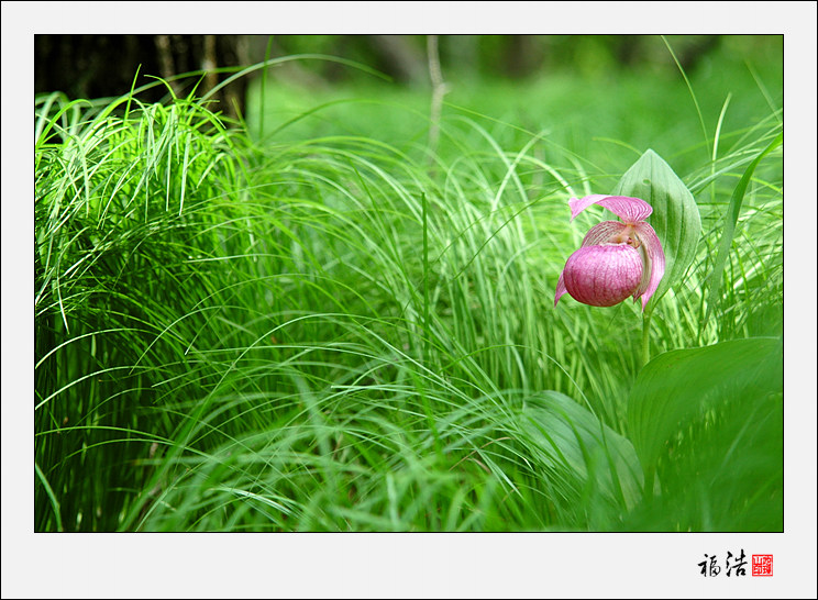 DSC_9222.jpg