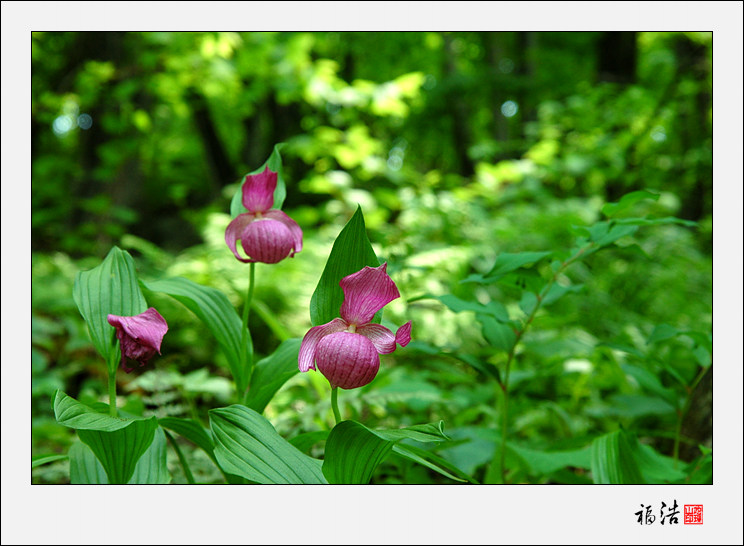DSC_9252.jpg