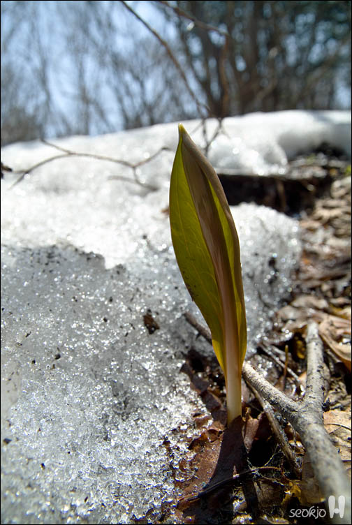 DSCF7794.jpg