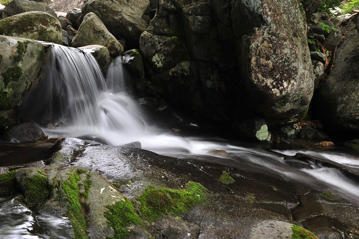 지리산-김종기-20080627- 260.jpg