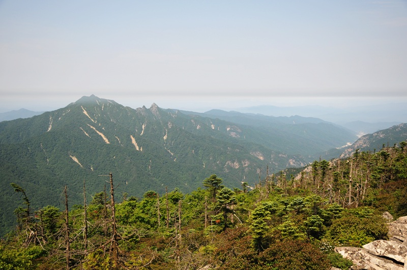 DSC_4135_800.jpg