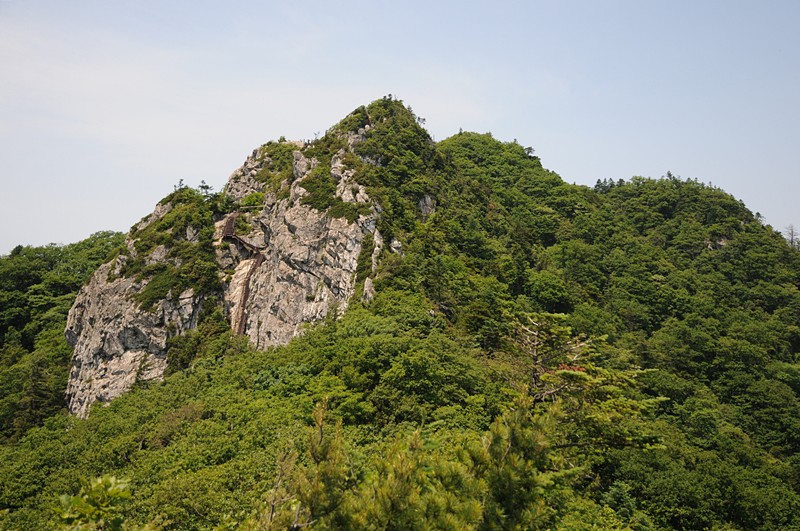 DSC_4206_800.jpg