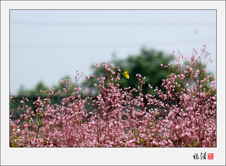 DSC_0713.jpg
