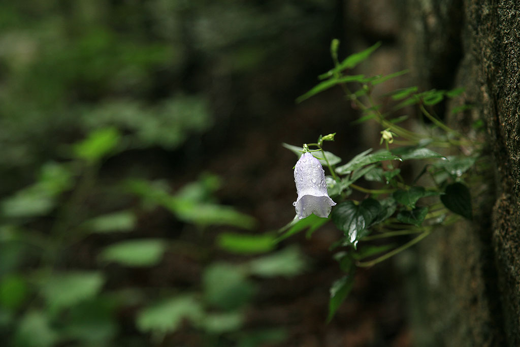 080824, sam 260.jpg