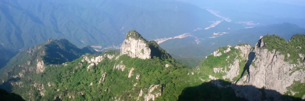 2011-06-19.jpg