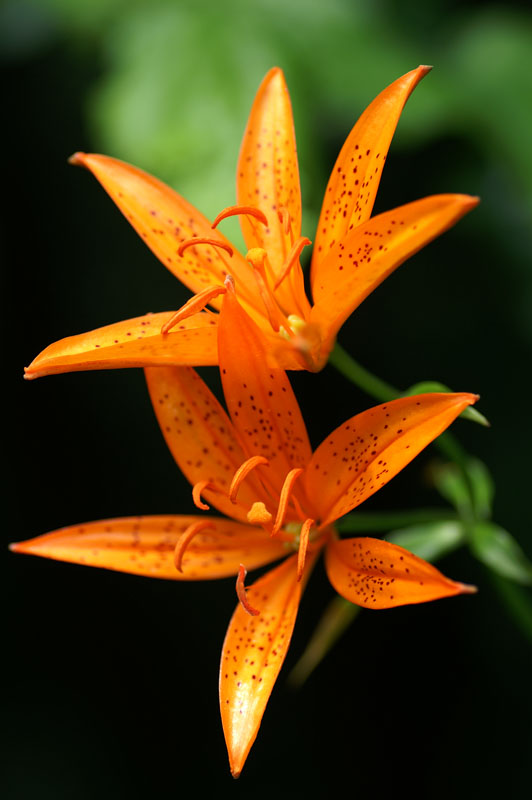 PICT5733_re.jpg